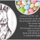 Easter Bunny Tea and Paint at The Scene - Ingleby Barwick Hub