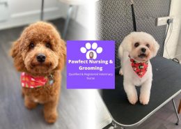 Pawfect Nursing and Grooming - Ingleby Barwick Hub