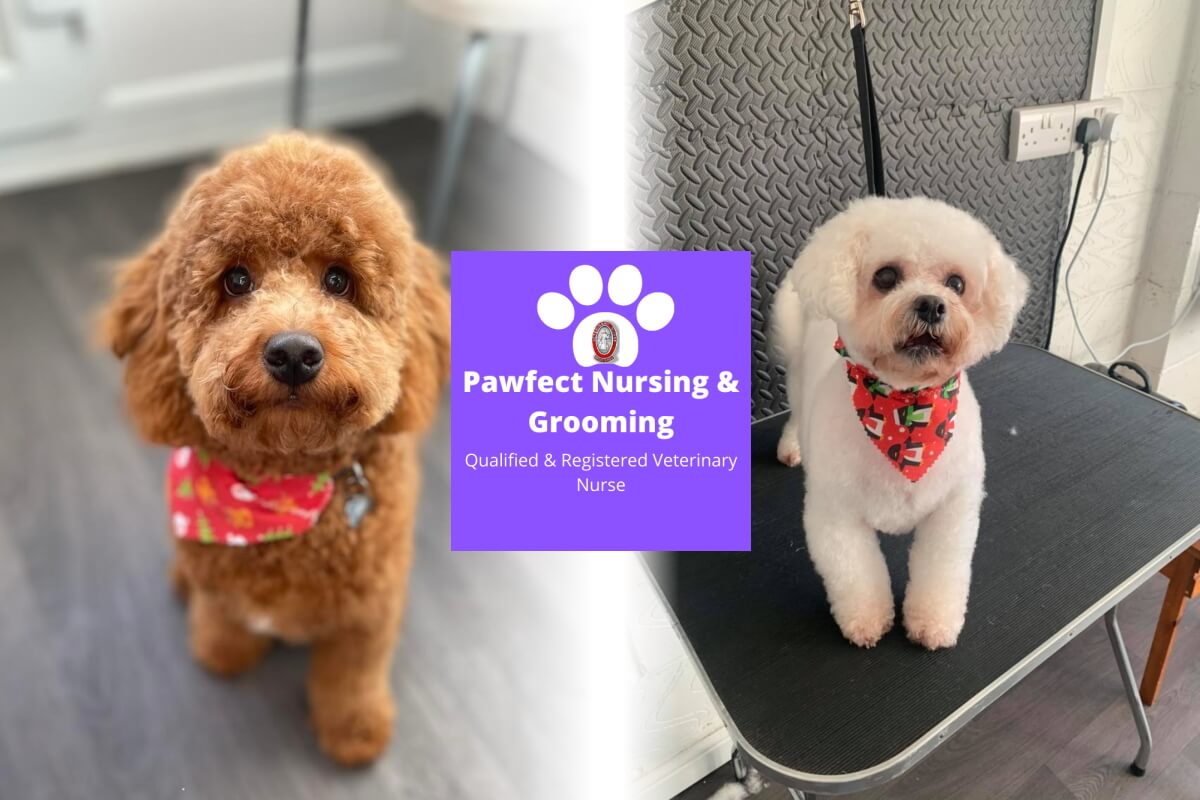 Pawfect Nursing Grooming Ingleby Barwick Hub