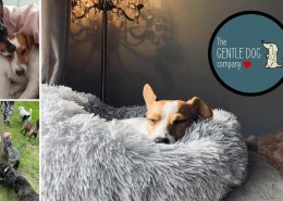 The Gentle Dog Company - The Ingleby Barwick Hub