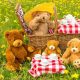Teddy Bears Picnic - Ingleby Barwick Hub